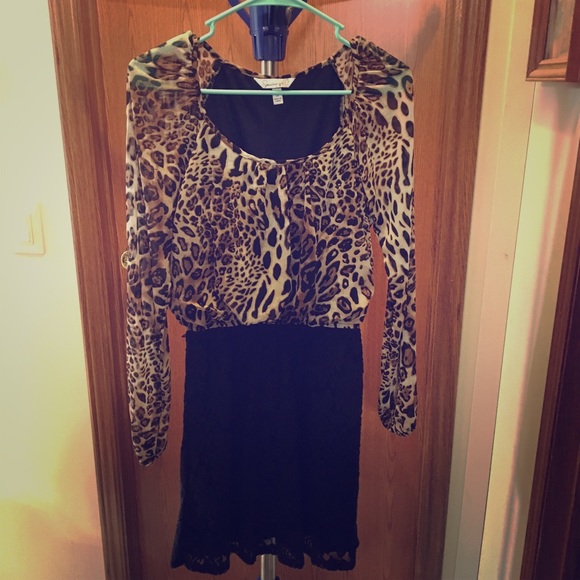 Leopard / Lace Dress - Picture 1 of 1